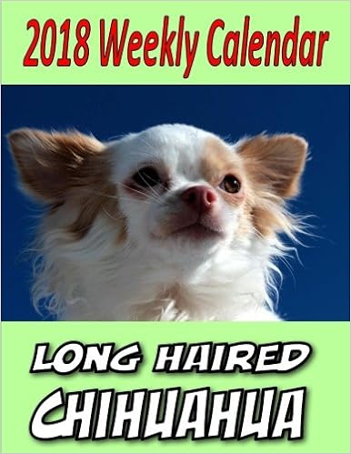 2018 Weekly Calendar Longhaired Chihuahua Puppy Times