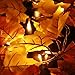 Luditek 8 Lighting Modes & Timer Fall Decorations for Home Maple Leaf Garland with Lights 40LED Battery Operated Waterproof String Lights, Thanksgiving Halloween Fall Decor Indoor Outdoor Autumn