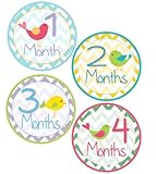 Baby Girl Bird Monthly Onesie Sticker with Chevron Pattern - Waterproof and Durable - Includes 1-12 Month Stickers