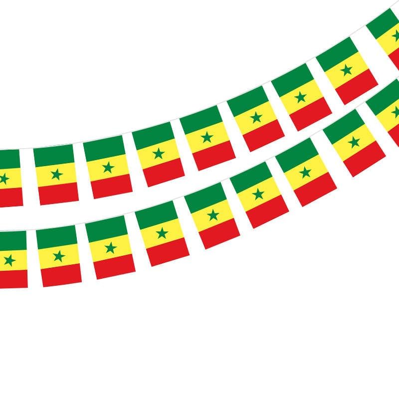 Senegal Flag 40 Pack Senegal Flag Senegal Garland 11.4M Senegal Pennants National Flag 14 x 21 cm for Bar Decorations
