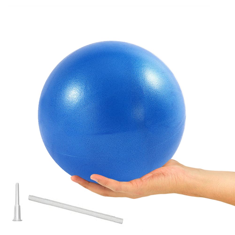 Photo 1 of ElwynnLane 9 Inch Exercise Pilates Ball Mini Exercise Barre Ball for Yoga,Stability Exercise Training Gym Anti Burst and Slip Resistant Balls Physical Therapy Improves Balance