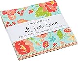 Lulu Lane Charm Pack By Corey Yoder; 42-5