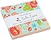 Lulu Lane Charm Pack By Corey Yoder; 42 - 5