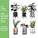 Indoor Round Modern Fiberglass Resin Planter Pot with Drainage Hole and Plug, 10 inch, Matte White, 96-G-1-L