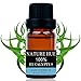 Nature Hue - Eucalyptus Essential Oil 10 ml, 100% Pure Therapeutic Grade, Undiluted