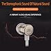 JBL Harman T290 Pure Bass Sound Sports Earbuds Wired 3,5mm Headphons - Rose Gold