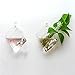 AWEVILIA Wall Hanging Plants Planter Terrariums Glass Diamond Shape Vase Creative Fashion Home Decor Wall Plants
