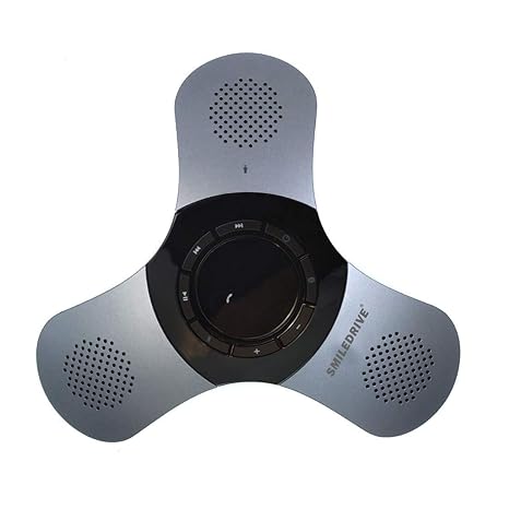 portable speaker for conference calls