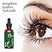 Gio Naturals Castor Oil - USDA Certified Organic, 100% Pure, Cold Pressed, Hexane Free - Stimulate Growth for Hair, Eyelashes, Eyebrows - Boosts Growth Instantly! Moisturize & Heal Dry Skin & Scalp