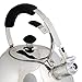 Whistling Stove Top Kettle Teapot with Layered Capsule Bottom, Silicone Handle, Stainless Steel Silver Mirror Finish Tea Pot, 2.75 Quart by Foodie Aid