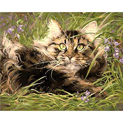ABEUTY DIY Paint by Numbers for Adults Beginner - Cat in The Grass 16x20 inches Number Painting