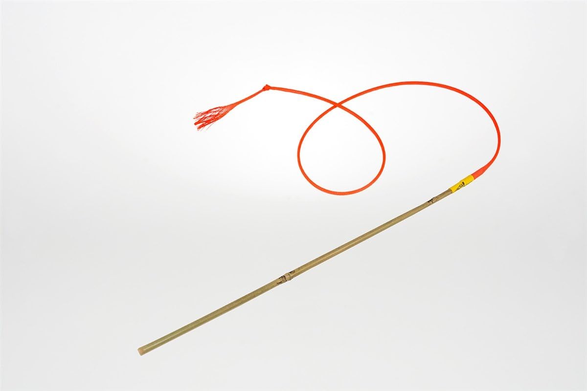 kc registered jack russell puppies for sale