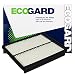 Ecogard XA6124 Premium Engine Air Filter Fits Hyundai 2.4L, Sonata 2.0L 2011-2014, Santa Fe 3.5L 2010-2012, Azera 3.3L 2012-2017 primary