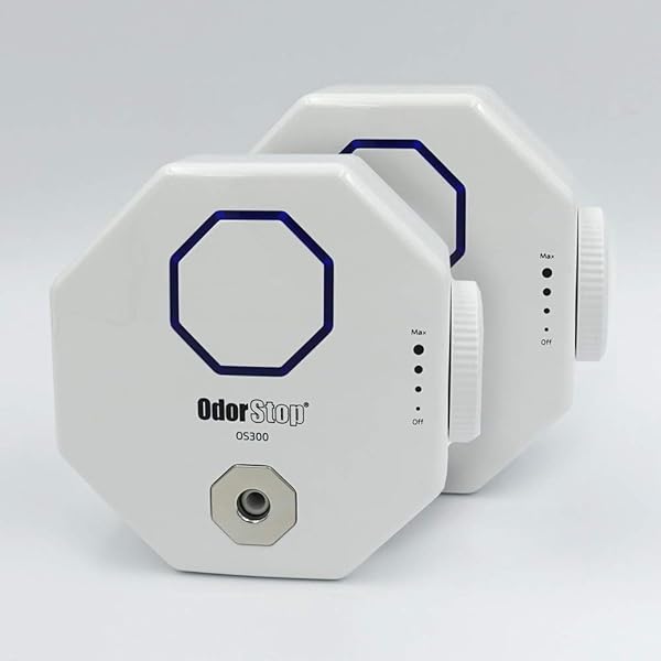 Amazon.com: V400 Air purifier by Airpura- Good for Wildfires