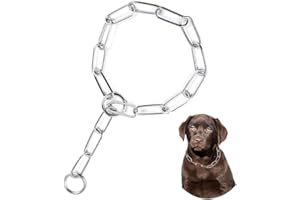 Metal Choker Collar for Large Dogs,Training Slip Link Dog Chain Collars Heavy Duty Martingale Collars for XXS XS Small Medium