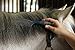 Oster Comb Mane & Tail Blue