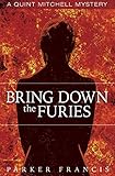 Bring Down the Furies (Quint Mitchell Mystery Series)