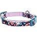 Blueberry Pet 5 Patterns Spring Made Well Elegant Floral Print Dog Collar in Sleek Black with Detachable Pink Flower Accessory, Small, Neck 12