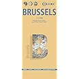 Laminated Brussels Map by Borch (English Edition)