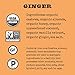 Simple Squares Paleo Protein Bars | Non GMO, Organic, No Dairy, Low Carb, Gluten Free Paleo Snacks | Naturally Made Breakfast Bars Gluten Free Snacks (Ginger Nuts & Honey - 12 Pack)
