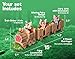 Joykick Fairy Garden Train Kit - Miniature Hand Painted Figurine Statues with Accessories - Set of 6pcs for Your House or Lawn Decor