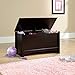 Sauder Shoal Creek Storage Chest, Toy Storage Chest for Living Room, Storage Trunk, in Jamocha Wood