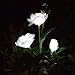 Homeleo Solar Powered Garden Flower Lights Outdoor, Waterproof Artificial Rose Decorative Lights for Christmas Garden Backyard Patio Pathway Front Yard Decoration- White