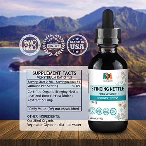 Stinging Nettle Root Liquid Extract 2 fl. oz. Organic Urtica Dioica