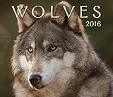 Wolves 2016