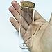 5pcs 30ml Small Mini Glass Bottles Vials Jars Glass Test Tube with Cork Stoppers Storage Glass Bottle 30ml 30x70mm(1.18x2.75inch)