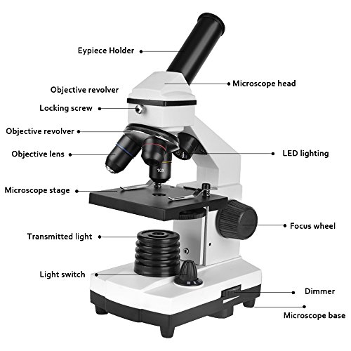 Student Microscope 40X-1000X Optical Glass Lens All-Metal LED Biological Compound Monocular Microscope with 16X Eyepiece Cellphone Digiscoping Adapter for Capturing The Micro World in The Screen