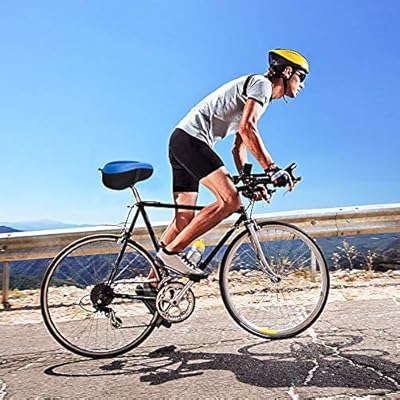 bike with extra seat