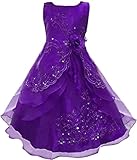 Little Girls Embroidered Beaded Flower Girl Birthday Party Dress with Petticoat Purple 4t-5t