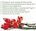Rosacea Skincare Set - Green Tea Face Cleanser and Rosehip Face Serum for Redness and Sensitive Skin