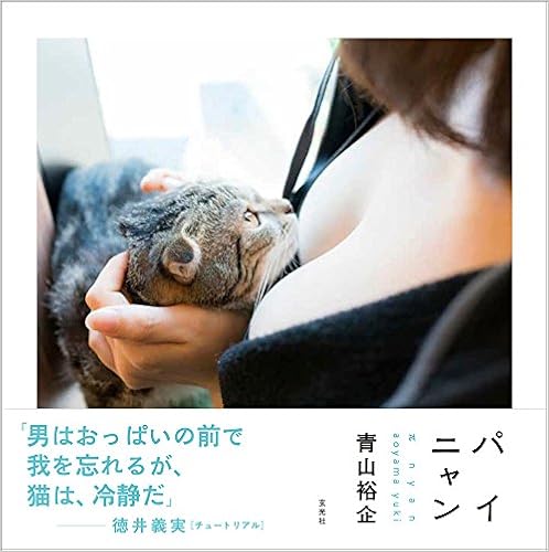 パイニャン (日本語) 単行本 – 2017/5/31の表紙