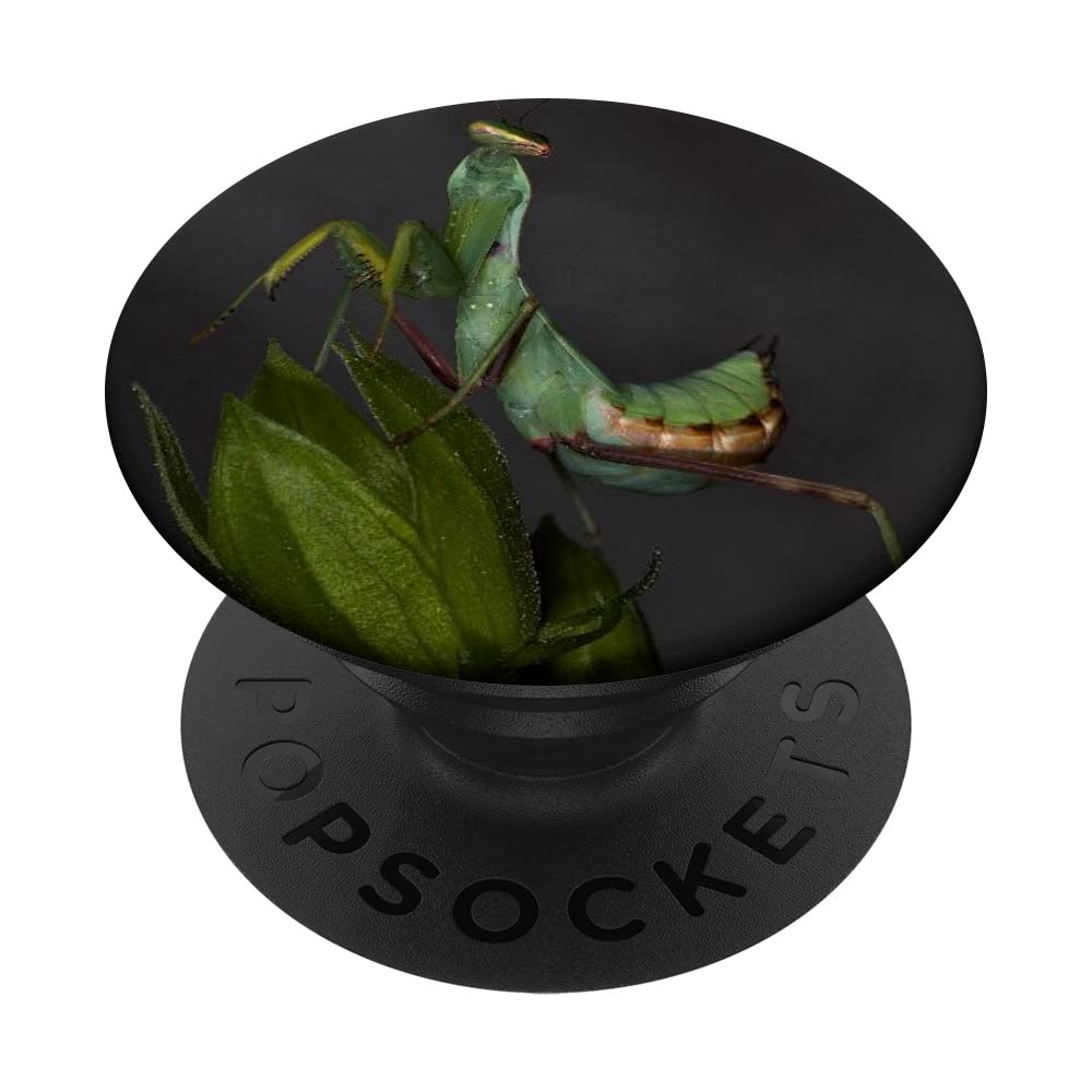 Prey Mantis PopSockets Swappable PopGrip