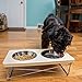 Easyology Stainless Steel Elevated Feeder Bowls for Cats and Small Dogs, Beige
