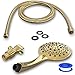 Aquarius Gold Shower Head With Handheld Sprayer, 6 Spray Settings High Pressure Polished Brass Showerhead With Hose (Extra Long) & Adjustable Brass Ball Bracket Kit, Shower Head Gold Finish