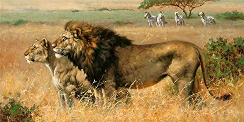 Modern Wall Art Painting Animal World Series Wild Lioness and Lion Pictures Prints On Canvas Artwork Decoration for Room Bathroom Unframed (16x32inch)