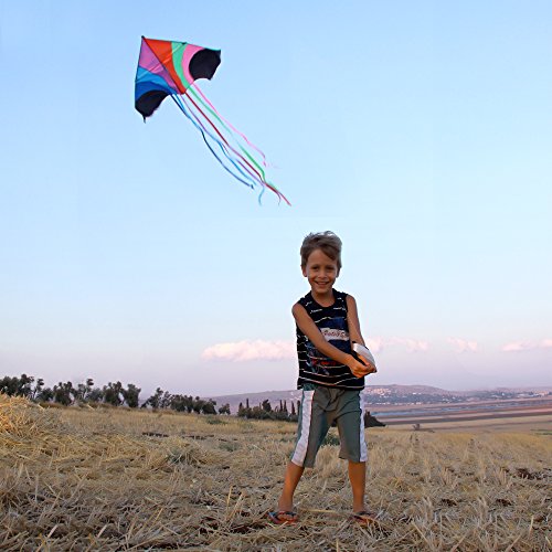 3 Tomi+Kite+Rainbow+Adults+Launch