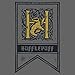 Harry Potter House Crest Flag Juniors 3/4 Sleeve Raglan T-shirts