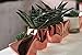 Purzest Succulent Planter, Ceramic Cactus Planter Modern Home Decor Air Plant Pot, 3 Inch Copper Color 2 Set