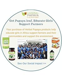 Papaya Leaf Veggie – Extracto 600 mg, fuerza de (10: 1 extracto) – 60 Cápsulas