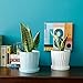 Greenaholics White Plant Pots - 6 Inch Ceramic Flower Planters Indoor with Drainage and Attached Saucers for Orchid or Herbs Small Modern Round Pot, Set of 2