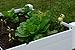 White Vinyl Raised Garden Bed 2-pack
