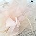 FAYBOX Elegant Silk Flower Feather Dot Net Fascinator Hat Hair Clip BlushPink