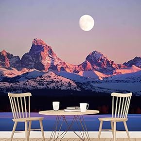 signwin Wall Mural Forest Nature Landscape Removable Self-Adhesive...