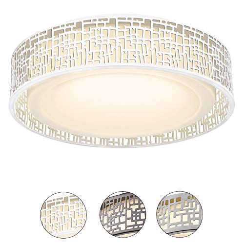 20W LED Ceiling Light, VICNIE 14 Inch Flush Mount Lighting Fixture,1400 Lumens 3000K Warm White, Dimmable, ETL Listed for Kitchen, Hallway, Bedroom, Stairways (Metal Body and Acrylic Shade)