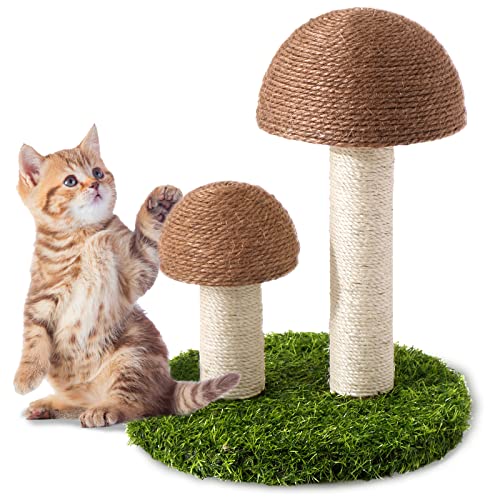 bff weruva cat food Weruva B.F.F. PLAY PAT! Tuna & Salmon Shhh... Dinner in a Hydrating Pure Cat  Food - Ann Arbor, MI