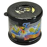 Car/Truck/Auto/Office Treefrog Squash Scent Long Lasting JDM Air Freshener